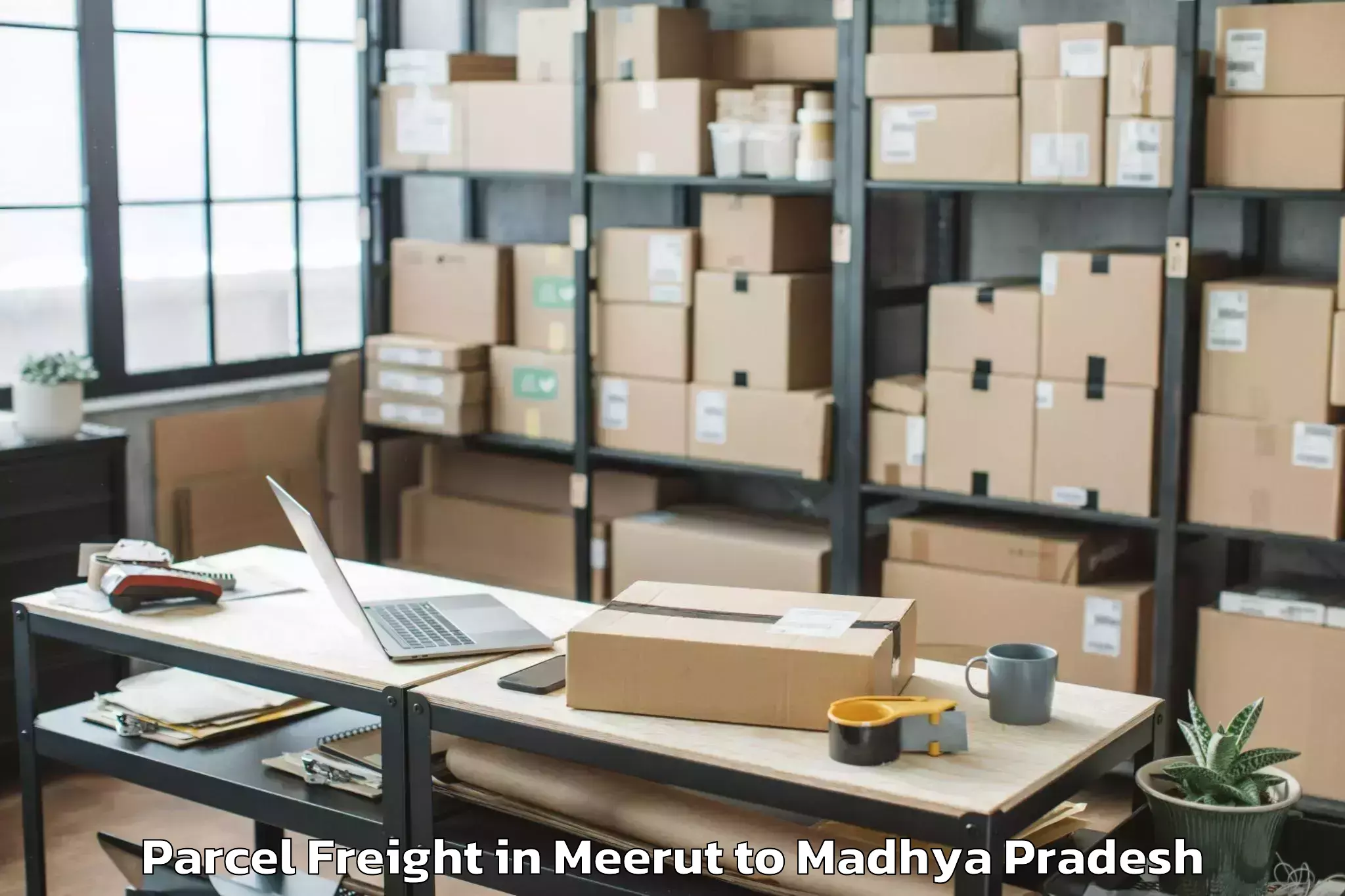 Discover Meerut to Raghogarh Vijaypur Parcel Freight